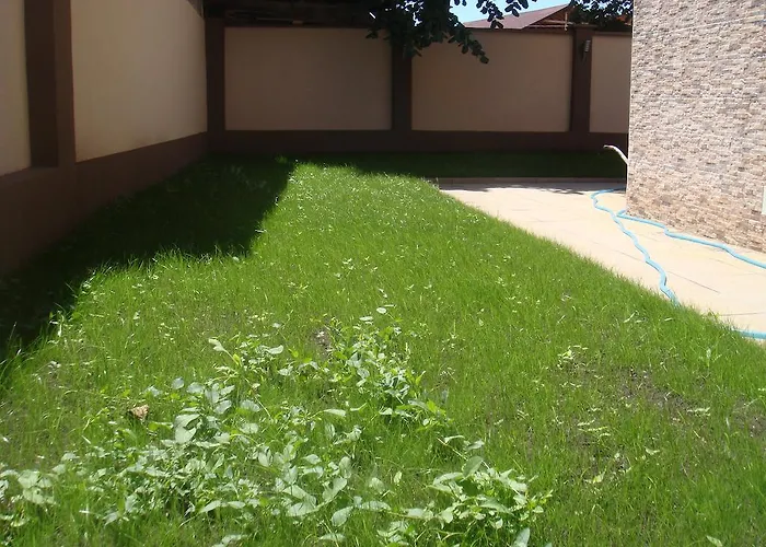 семеен иватеа